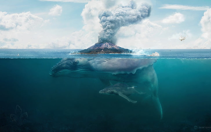 blue whale illustration, nature, water, digital art, artwork, HD wallpaper