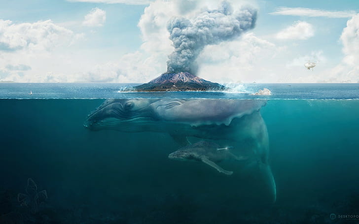 whale, split view, artwork, nature, sea, water, digital art, HD wallpaper
