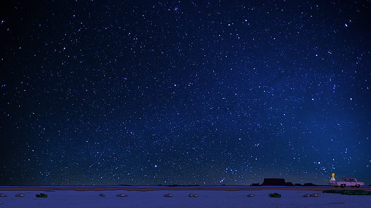 Homer Simpson, starry night, desert, HD wallpaper