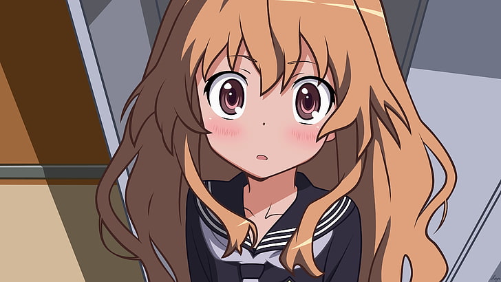 brown-haired female anime character illustration, Aisaka Taiga, HD wallpaper
