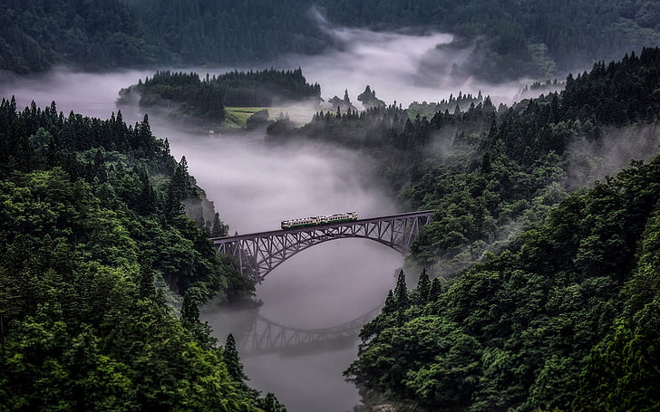 gray steel bridge, nature, landscape, train, forest, mist, reflection, HD wallpaper