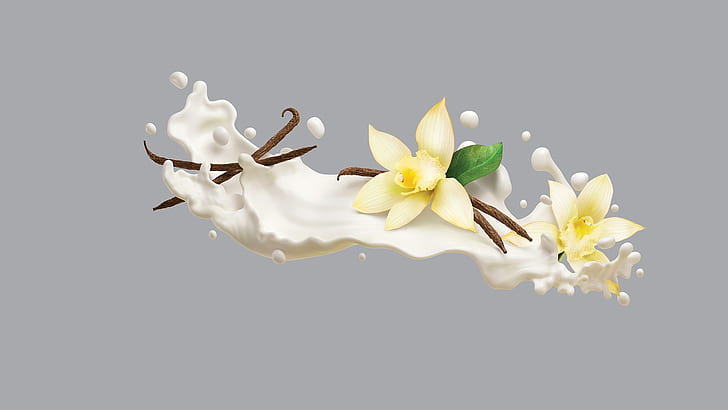minimalism, cream, art, vanilla, AJ Jefferies, Philadelphia VIVA Protein Smoothies, HD wallpaper