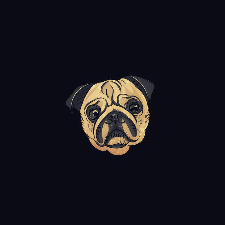 pug, dog, art, cute, black background, copy space, no people