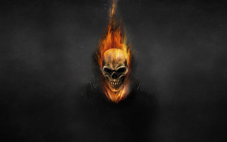 Ghost Raider digital wallpaper, the dark background, fire, skull
