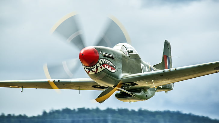 air, aircraft, airplane, fighter, force, military, mustang