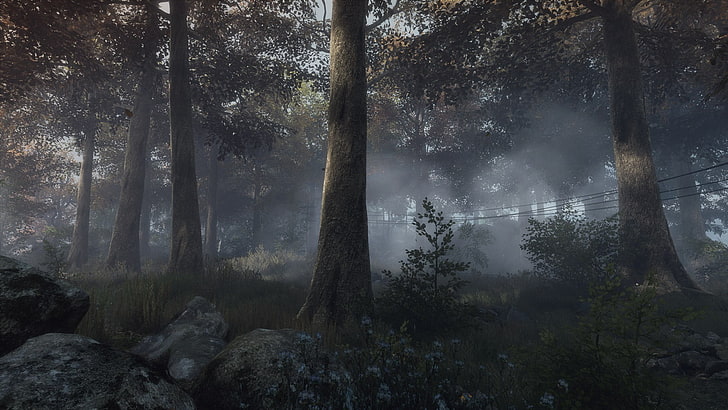 brown tree trunk, The Vanishing of Ethan Carter, video games, HD wallpaper