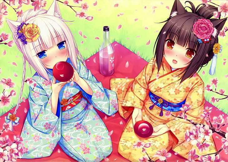 neko works animal ears picknick cherry blossom neko para nekomimi chocolat neko para vanilla neko para anime girls anime