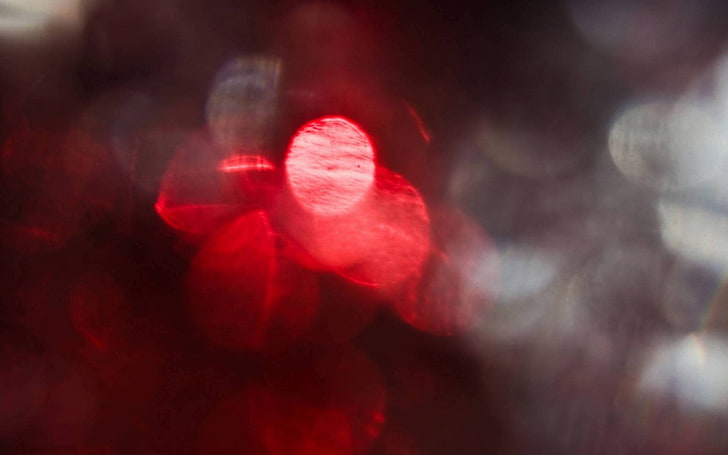 blurred, no people, defocused, close-up, heart shape, abstract
