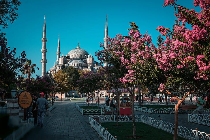 Park, Turkey, flowering trees, Daria Klepikova, Istanbul, HD wallpaper
