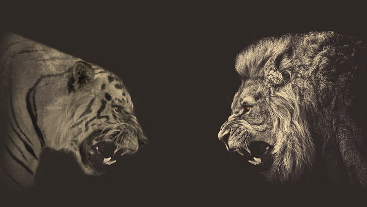lion, animals, photo manipulation, sepia, tiger, HD wallpaper