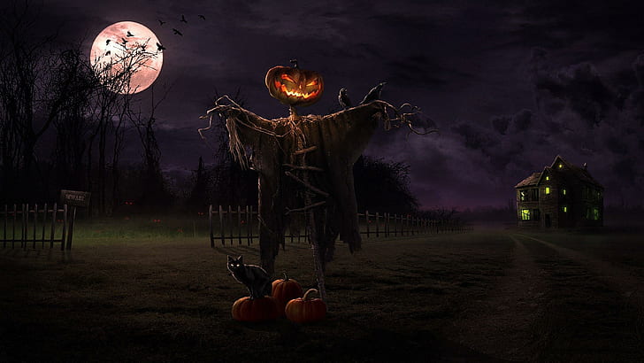 Halloween Scarecrow 2014, halloween 2014, holiday halloween, HD wallpaper