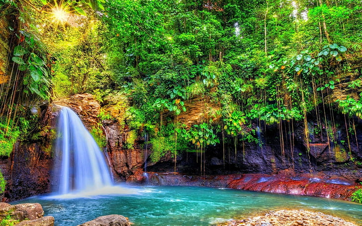 nature landscape waterfall forest sun rays shrubs colorful trees tropical guadeloupe island caribbean, HD wallpaper