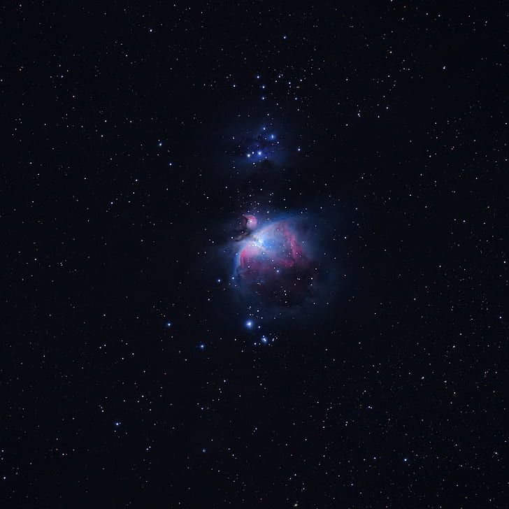 Great Orion Nebula, space, stars, HD wallpaper
