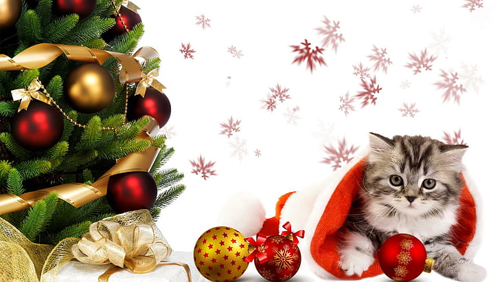 Christmas Tree Wishes, decorations, bows, snowflakes, ribbons, HD wallpaper