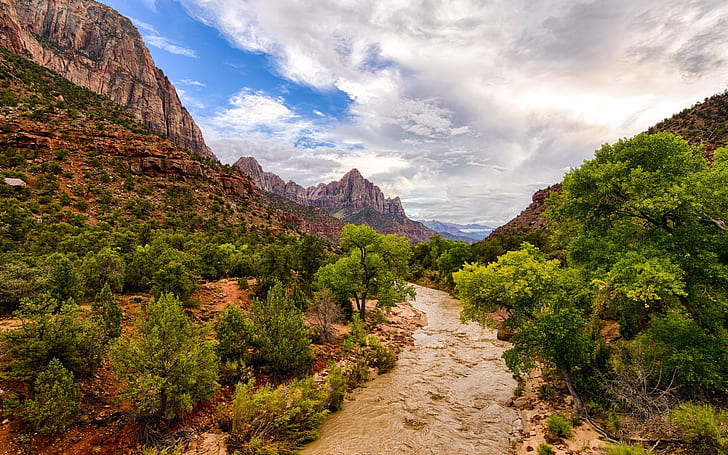 Zion National Park, river, mountains, trees, USA, HD wallpaper