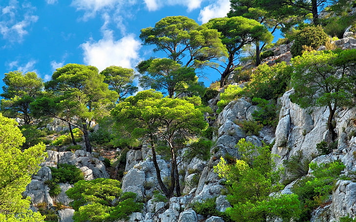 green trees, nature, landscape, clouds, mountains, cliff, shrubs