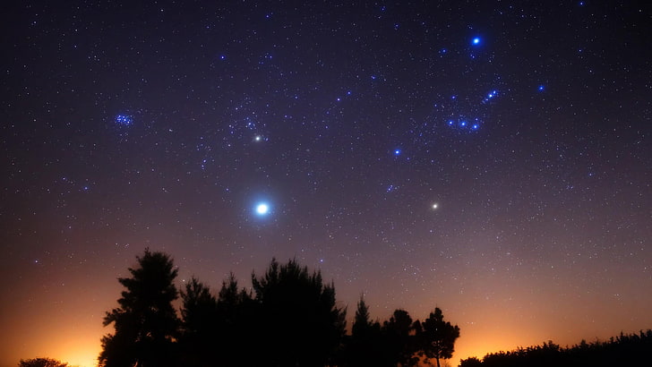 night stars, constellation, sky, orion, midnight, night sky, HD wallpaper
