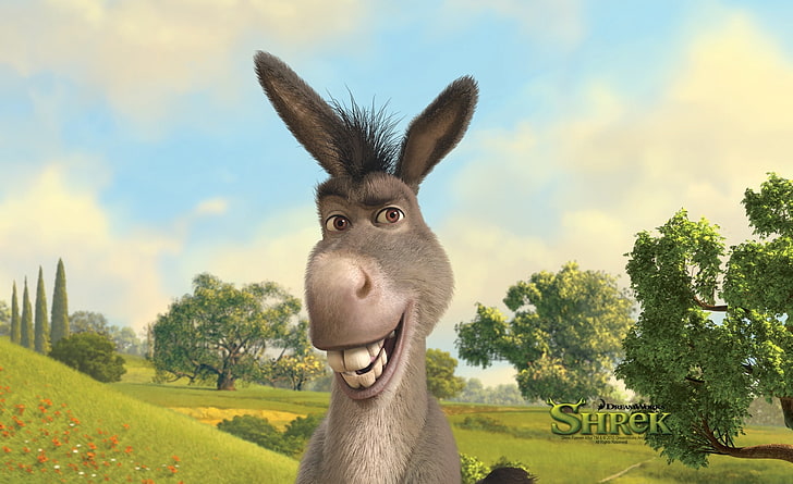 Donkey, Shrek The Final Chapter HD Wallpaper, Shrek Dunky, Cartoons, HD wallpaper