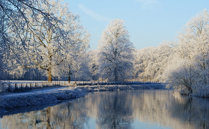 Frozen Mist, snow-covered trees, Seasons, Winter, Blue, Travel, HD wallpaper
