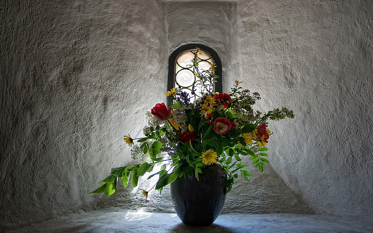 window, flowers, flowering plant, vase, nature, wall - building feature