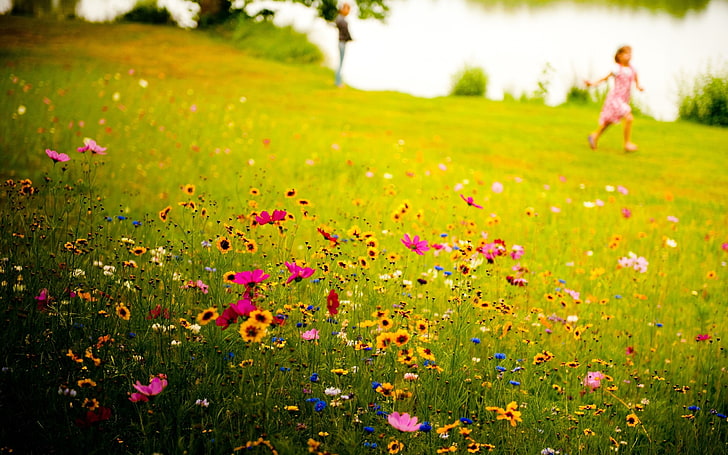 landscapes flowers grass meadows wildflowers blurred background children Nature Flowers HD Art, HD wallpaper