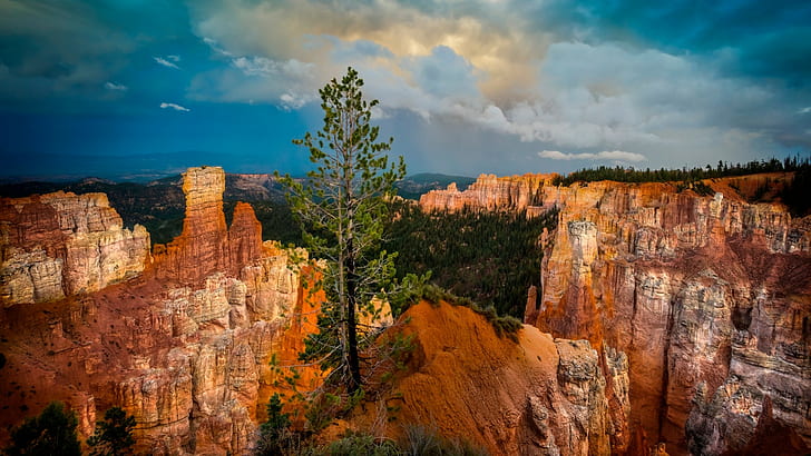 landscape, Bryce Canyon National Park, Utah, HD wallpaper