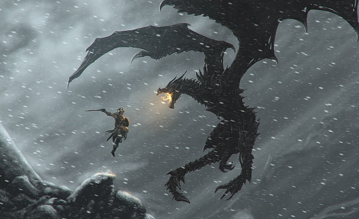 The Elder Scrolls V Skyrim, warrior and dragon digital wallpaper