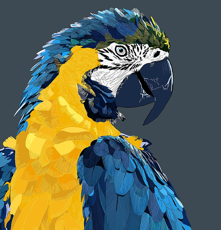 HD wallpaper: blue and yellow parrot wallpaper, macaw, art, bird, animal,  nature | Wallpaper Flare