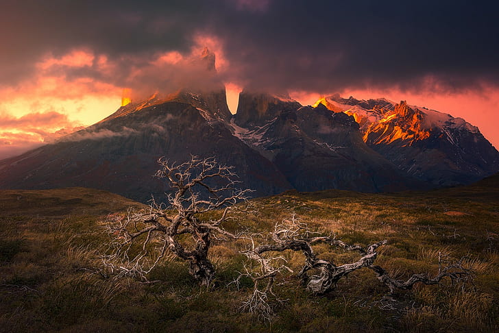 mountains, sunset, Torres del Paine, Patagonia, Chile, dead trees, HD wallpaper