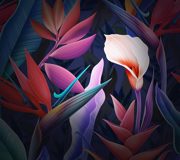 Flowers, Leaves, Colorful, Huawei Mate 10, Stock, HD HD wallpaper