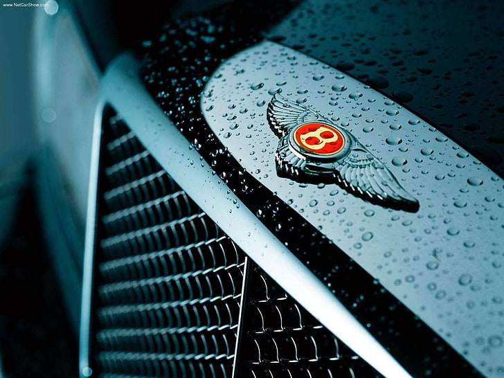 Bently emblem, Logo, Bentley, Grille, drop, close-up, no people