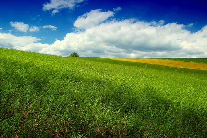 green grass field under white cumulus clouds, Windswept, Pennsylvania, HD wallpaper