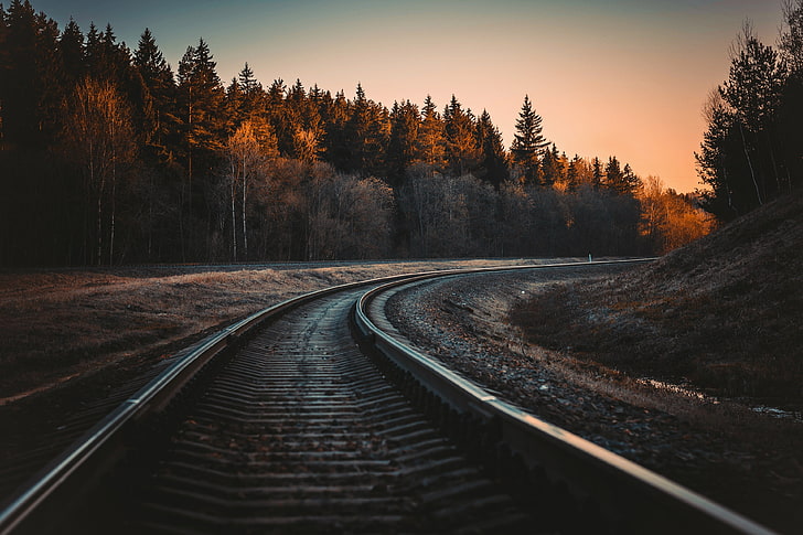 black train railings, railway, railroad track, forest, nature