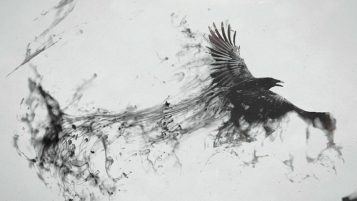 raven, fly, art, artwork, monochrome, black and white, bird, HD wallpaper