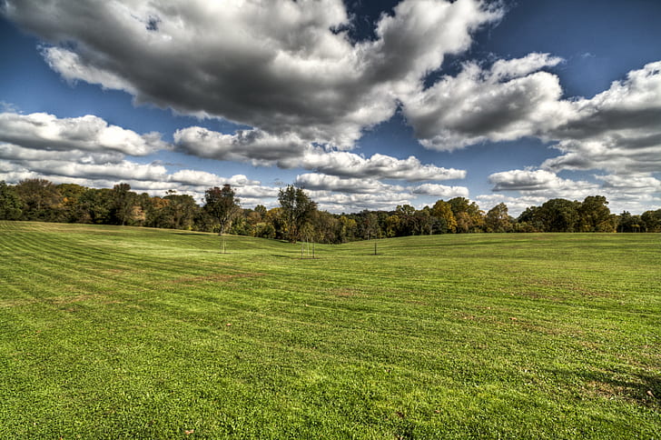 green grass meadow surrounded with trees under cloudy sky, IMG, HD wallpaper