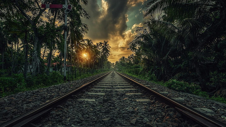 rail transport, cloud, asia, tropical, palms, landscape, sunset, HD wallpaper