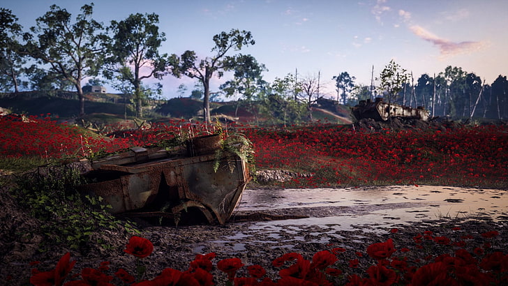 Battlefield, Battlefield 1, Flower, Poppy, Red Flower, HD wallpaper