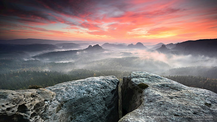 Morning Mist, Saxon Switzerland National Park, Saxony, Germany, HD wallpaper