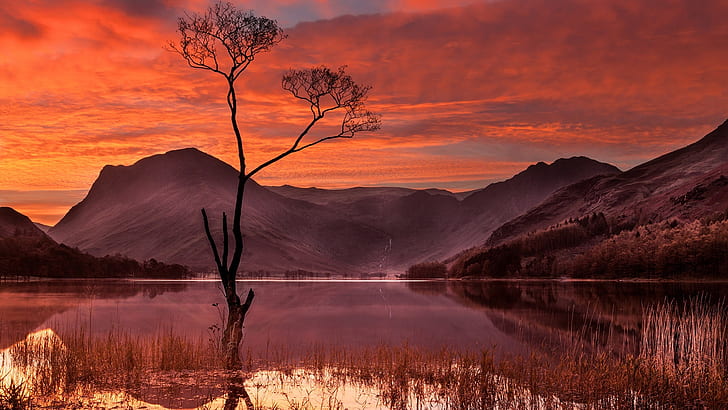 reflection, red sky, lone tree, dawn, lake, red sky at morning, HD wallpaper