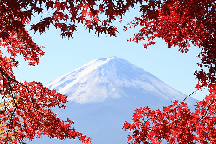 photo of snow covered mountain, mt. fuji, mt. fuji, autumn, landscape, HD wallpaper