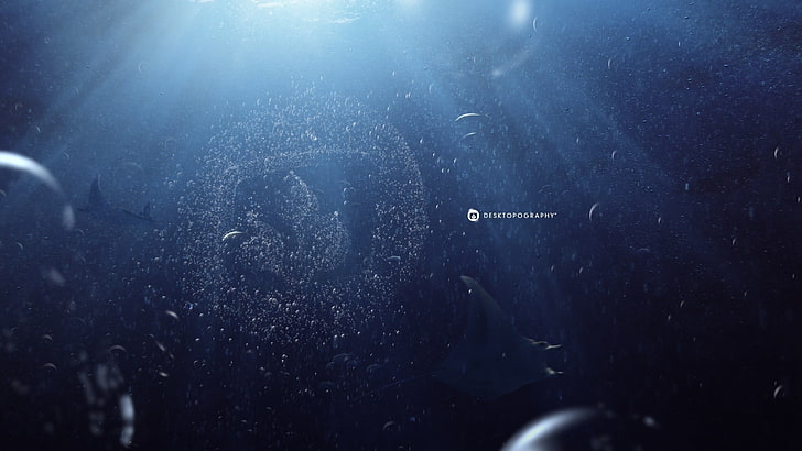 blue underwater wallpaper, Desktopography, manta rays, sea, bubbles, HD wallpaper