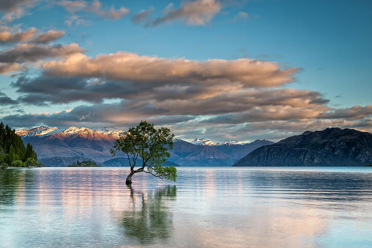 nature, landscape, trees, Lake Wanaka, New Zealand, clouds, HD wallpaper