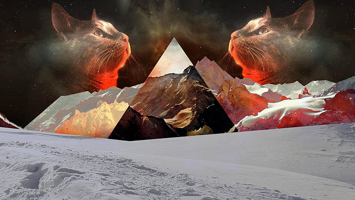 two brown cats and mountain ranges illustration, two gray cat heads photo, HD wallpaper