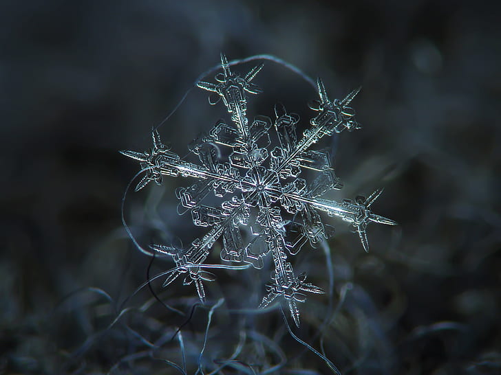 macro photography of snowflake, nature, winter, christmas, backgrounds, HD wallpaper