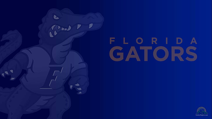 college, florida, football, gators