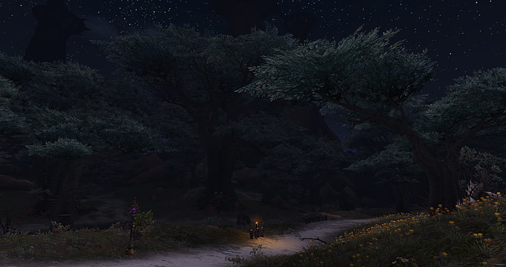 green tree and road, video games, World of Warcraft: Warlords of Draenor, HD wallpaper