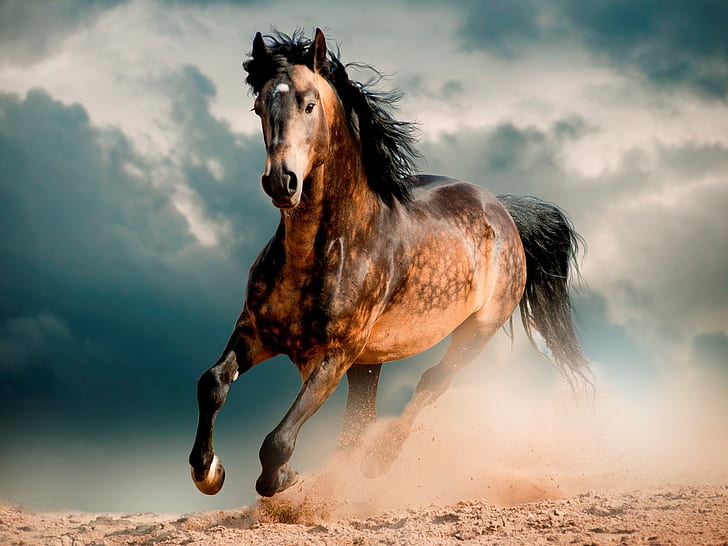 Horse, mustang, desert, gallop, HD wallpaper