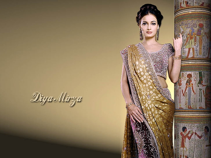 HD wallpaper: Diya Mirza In Colorfull Saree, women's brown and gray sari  dress with text overlay | Wallpaper Flare