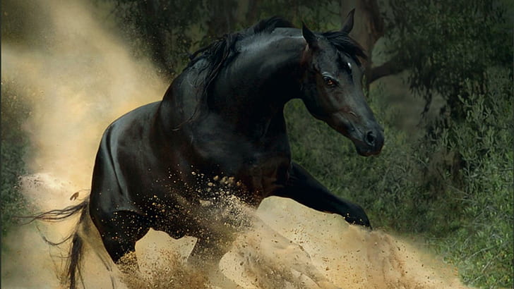 S Runner, horses, animals, sand, fantasy, stallions, black horses, HD wallpaper