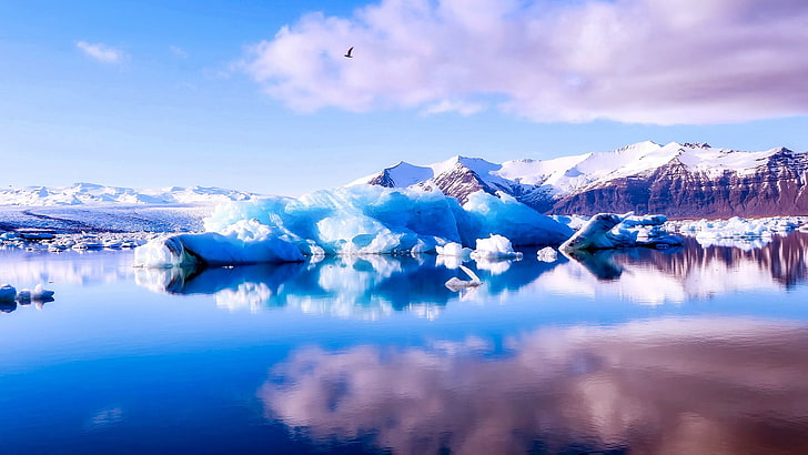 lake, vatnajokull national park, jokulsarlon, glacier, morning, HD wallpaper
